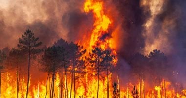 قمر صناعى جديد يراقب الأرض كل 20 دقيقة لرصد حرائق الغابات قبل اندلاعها