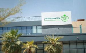 إلزام التجار بالتراخيص ومنع بيع اللحوم