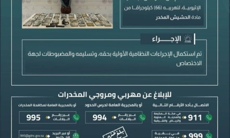 إلقاء القبض على مهرب يمتلك (66) كيلوجرامًا من الحشيش