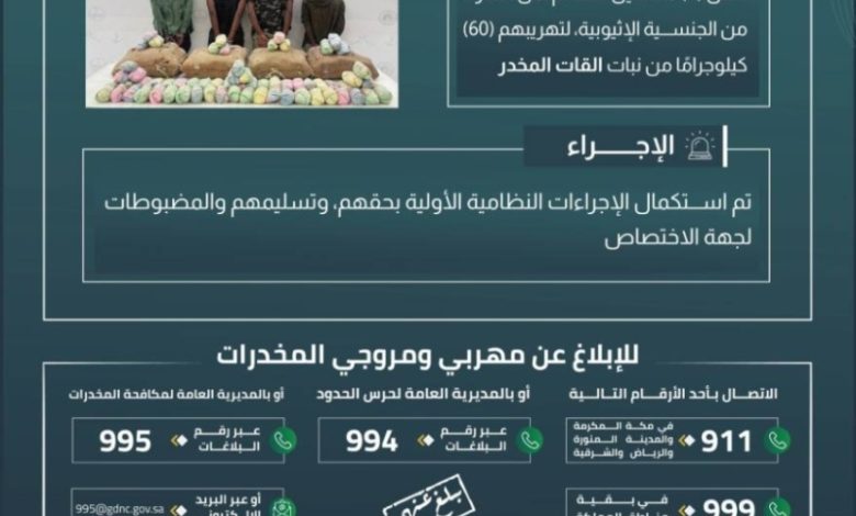 إيقاف أربع مخالفين لحرس الحدود بعسير في تهريب ستين كيلوغرامًا من القات المخدر