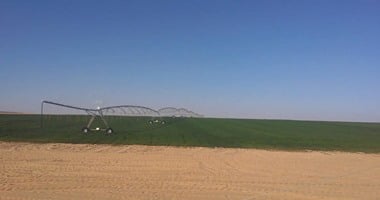 ارتفاع العمالة في الزراعة والمركبات بمصر 2024 وفقاً للإحصاءات الحديثة