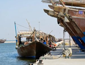 استعداد 710 مراكب صيد في الشرقية لموسم الروبيان المتوقع في عام 2025.