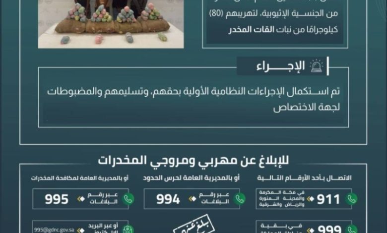 اعتقال 4 مخالفين في عسير بحوزتهم 80 كيلوجرامًا من القات المخدر