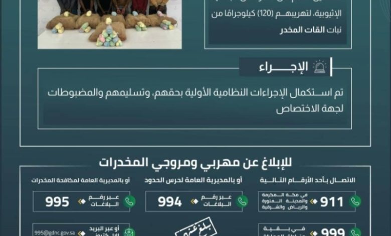 اعتقال ستة مخالفين بحرس الحدود بعسير أثناء تهريب 120 كيلوجرامًا من القات المخدر