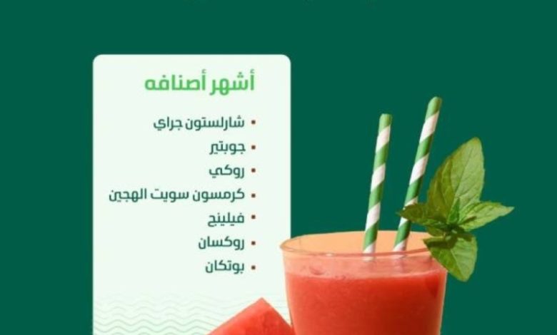 البطيخ ينعش صيف المملكة ويغزو الأسواق بإنتاج يفوق 610 آلاف طن هذا العام