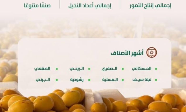 الرياض تعزز إنتاج التمور في المملكة، والأسواق تستقبل أولى حصادها الجديد