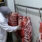 الزراعة تضبط 120 طن من اللحوم الفاسدة في حملة مكثفة