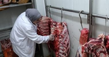 الزراعة تضبط 120 طن من اللحوم الفاسدة في حملة مكثفة