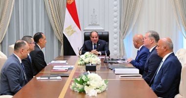 الرئيس السيسى يؤكد أهمية مشروعات البتروكيماوت والصناعات التعدينية