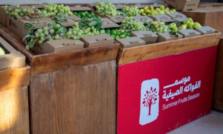 العلا تحتفل بموسم الفواكه الصيفية، محققة 4,900 طن وإيرادات تتجاوز 12.8 مليون ريال.