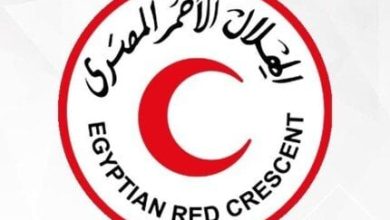 الهلال الأحمر المصري يواصل جهوده لدعم قطاع غزة