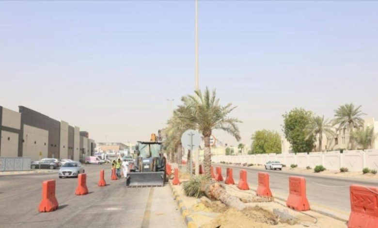 بلدية الخبر تُطلق مشروع استبدال النخيل بـ 10.000 شجرة ظل مرحلياً