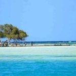 تأمين المحميات الطبيعية في مصر: دراسة حول الفعالية والحماية البيئية