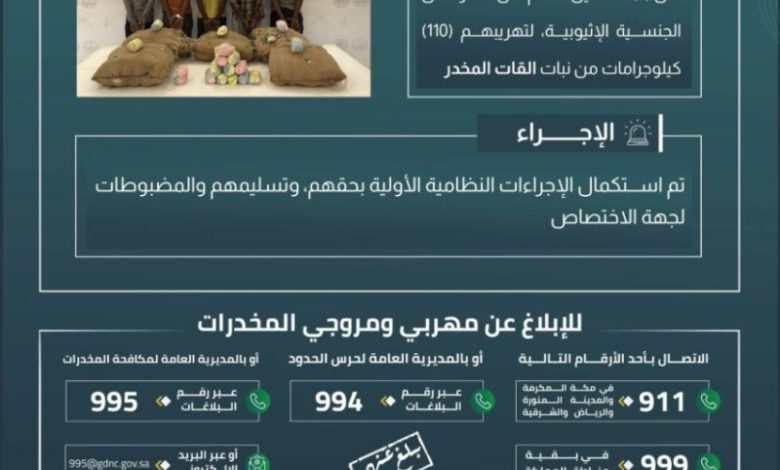 تحقيقات حرس الحدود بعسير تكشف عن 5 متهمين بتهريب 110 كلجم من القات المخدر