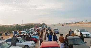تزايد ملحوظ في عدد السيارات الزيرو والمستعملة المرخصة خلال مايو 2025