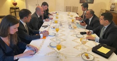 وزير الخارجية يؤكد ضرورة تضافر الجهود للتوصل إلى حل عادل وشامل لقضية فلسطين