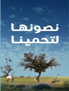 تعزيز الاستدامة البيئية في محمية الإمام تركي بن عبدالله
