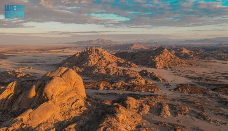 "تقرير موسَّع عن التنوع الحيوي" يسلط الضوء على جهود "البحر الأحمر الدولية" لحماية كنوز المملكة الطبيعية