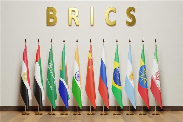 تليفزيون «بريكس» يُثمن إنجازات مصر البيئية