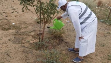 تنفيذ مبادرات سقيا المزروعات بمكاتب “البيئة” بالعاصمة المقدسة وخليص وأضم
