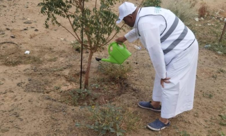 تنفيذ مبادرات سقيا المزروعات بمكاتب “البيئة” بالعاصمة المقدسة وخليص وأضم
