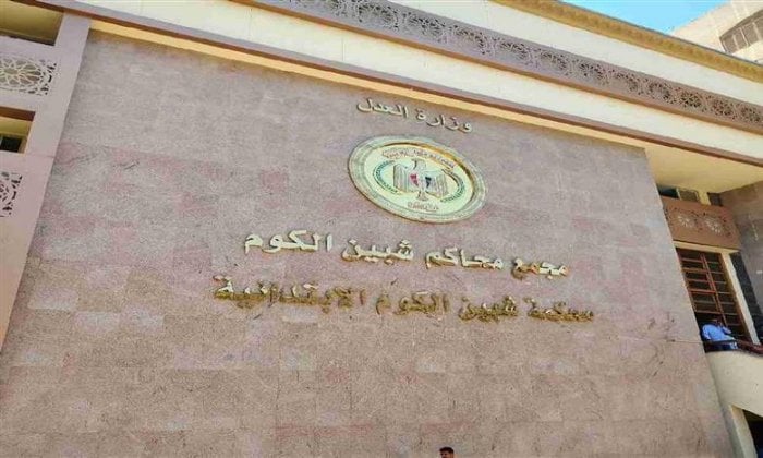 حبس مشدد 10 سنوات لأم قتلت رضيعها عمدا في «بانيو» بالمنوفية