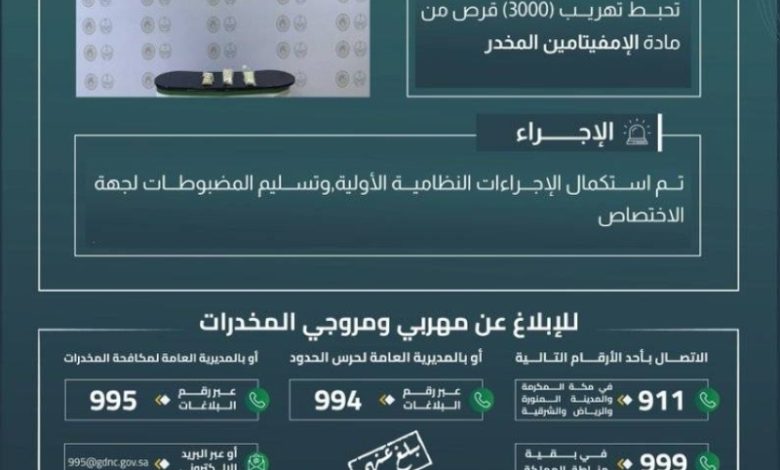 حرس الحدود الشرقية ينجح في إحباط تهريب 3000 قرص إمفيتامين