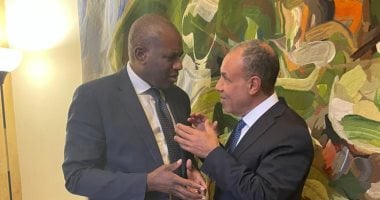 وزير الخارجية يؤكد لنظيره البريطانى ضرورة الضغط على إسرائيل لوقف عدوانها على غزة