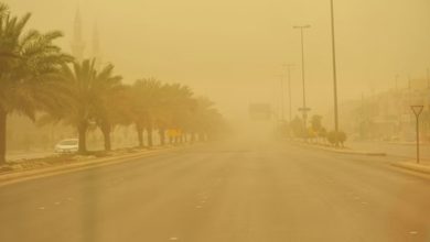 رياح نشطة تضرب المدينة المنورة وفقًا لتوقعات الأرصاد