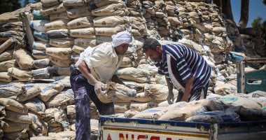 سعر الأسمنت يسجل انخفاضاً اليوم السبت 5-7-2025 مع توقعات مستقبلية إيجابية