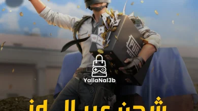 شحن شدات ببجي