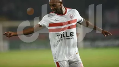 أرقام وبطولات شيكابالا بعد اعتزاله رسميا