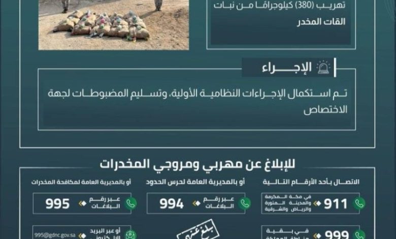 ضبط حرس الحدود بجازان 380 كيلوجرامًا من القات المخدر