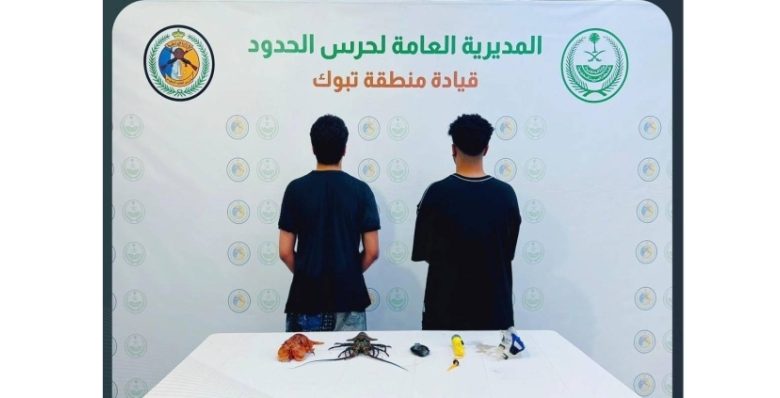 ضبط حرس الحدود في تبوك لمخالفين للائحة الأمن والسلامة في الأنشطة البحرية بالمناطق البحرية المملكة