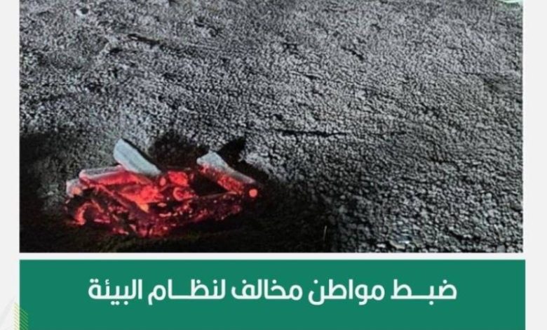 ضبط مخالف لنظام البيئة في حائل بيد القوات الخاصة للأمن البيئي