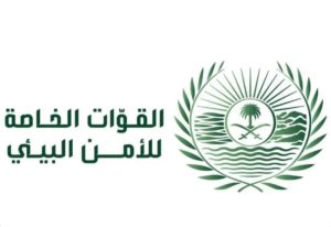 “ضبط مخالفين” لتلويث البيئة بتفريغ مواد خرسانية في الشرقية