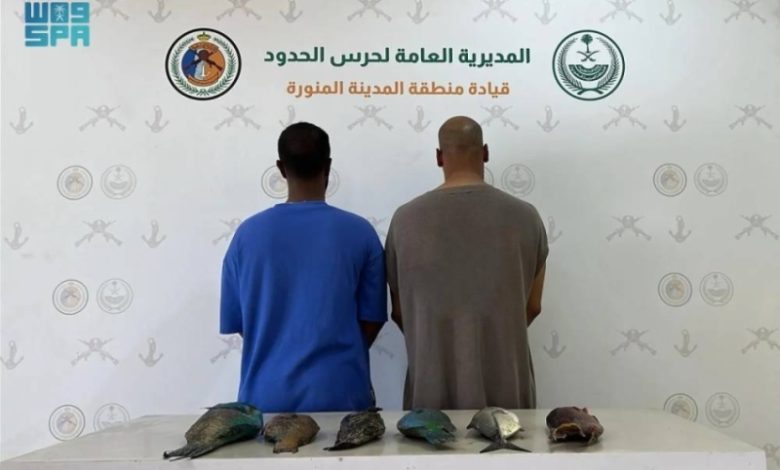 ضبط مواطنين مخالفين لقوانين الأمن والسلامة البحرية في ينبع