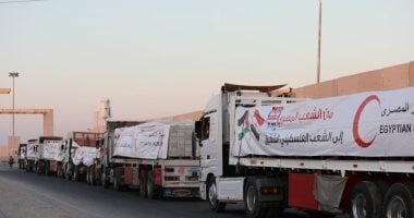 "عشائر غزة": شكرا مصر والرئيس السيسي على دعم شعبنا.. فيديو