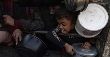 عشائر فلسطين: وقف العدوان على غزة ضرورة ملحة ونثق بدور مصر المحورى