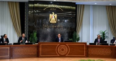 "معلومات الوزراء" يوضح أبرز الفرص المتاحة لمصر فى مجال "صناعة البطاريات" 