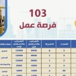 وزارة العمل تعلن عن 103 فرص عمل بالإمارات برواتب تصل إلى 160 ألف جنيه