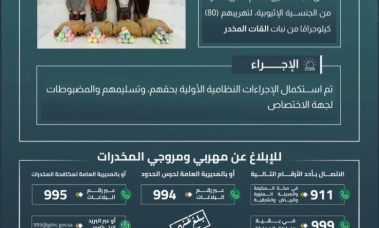 قبض حرس الحدود بعسير على أربعة مخالفين بحوزتهم ثمانين كيلوغرامًا من القات المخدر