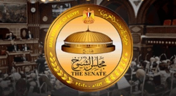 قواعد جديدة للتصويت في الخارج من «الوطنية للانتخابات» وضوابط الدعاية لانتخابات الشيوخ