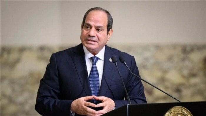لقاء الرئيس السيسي والرئيس الصومالي حول الأوضاع الأمنية في القرن الإفريقي