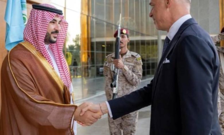لقاء وزير الدفاع ونظيره المجري يناقش أحدث المستجدات الأمنية