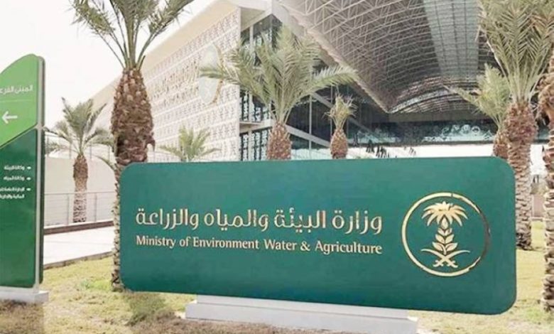 للمرة الأولى، إدخال تكنولوجيا إنترنت الأشياء لإدارة مزارع الماشية بشكل مبتكر.