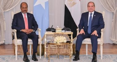 الرئاسة: الرئيس السيسى ونظيره الصومالى عقدا مباحثات ثنائية