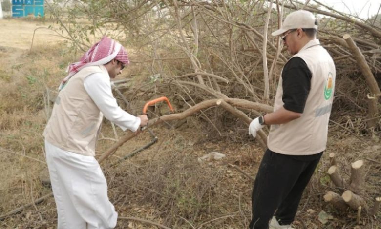 مبادرة لمكافحة نبتة التبغ الكاذب تُطلق خلال فعاليات صيف النماص لعام 2025.