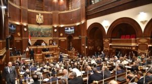 مجلس الشيوخ يشكل تحولاً رئيسياً في بناء الجمهورية الجديدة وتعزيز التجربة البرلمانية