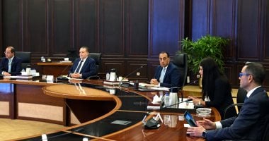 مجلس الوزراء: خطة شاملة بتوقيتات ومواعيد تغطية احتياجاتنا من الموارد الدولارية
